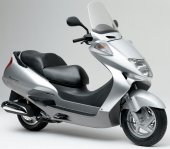 2002 Honda Foresight 250 photo